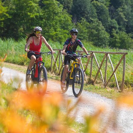 I Laghee Casette Breva E Tivano -Garden-Parking-Lake View - Bike Friendly Holiday House Colico Bagian luar foto